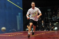 David Palmer squash - wDSC_6713